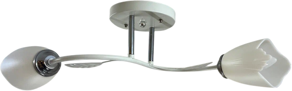 Потолочный светильник Lumix 1011/2 - фото