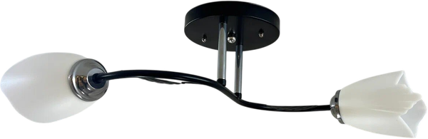 Потолочный светильник Lumix 1011/2 - фото