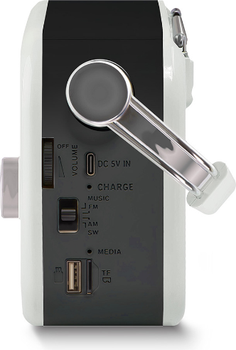 Радиоприемник Ritmix RPR-045