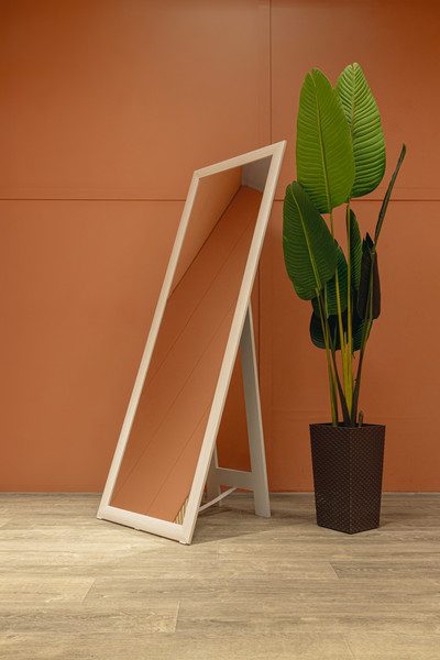 Зеркало Silver Mirrors Монреаль Дуб 60x170 / ФР-00002517