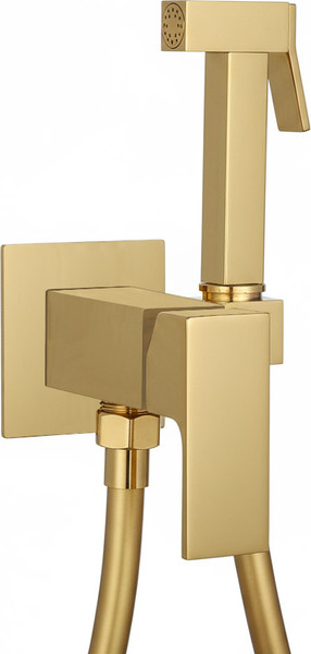 Гигиенический душ Roxen Caspia 50096000-GB - фото