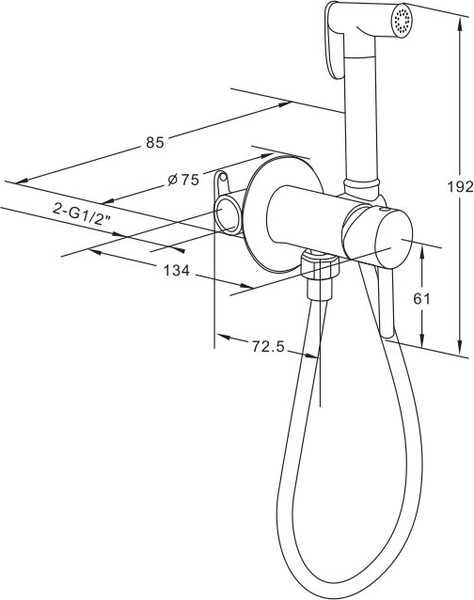 Гигиенический душ Roxen Santi 50094000-BN
