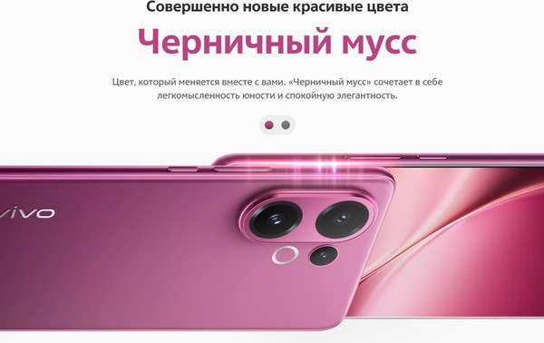 Смартфон Vivo V60 12GB/256GB