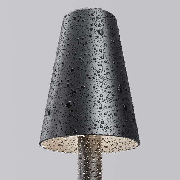 Светильник уличный Maytoni Cane O504FL-L1B3K