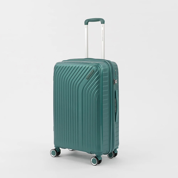 Чемодан на колесах Francesco Molinary 338-1160/3-24GRN - фото