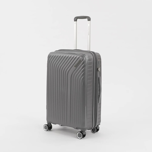 Чемодан на колесах Francesco Molinary 338-1160/3-24GRY - фото