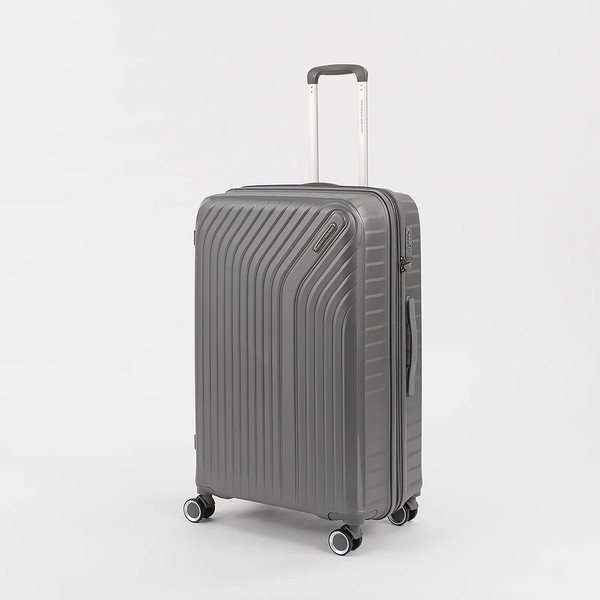 Чемодан на колесах Francesco Molinary 338-1160/3-28GRY - фото
