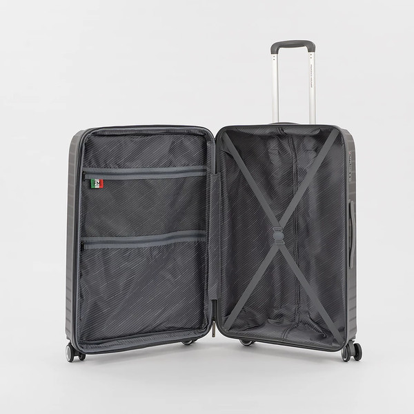 Чемодан на колесах Francesco Molinary 338-1160/3-28GRY