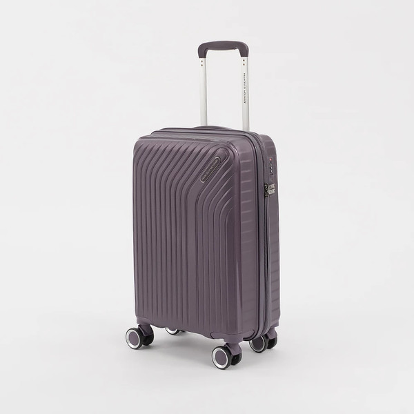 Чемодан на колесах Francesco Molinary 338-1160/3-20VLT - фото