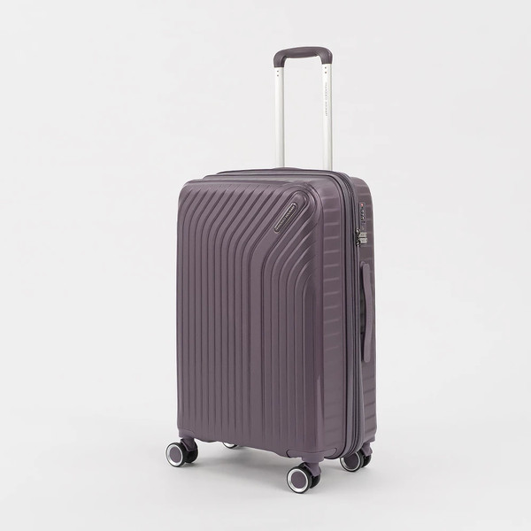 Чемодан на колесах Francesco Molinary 338-1160/3-24VLT - фото