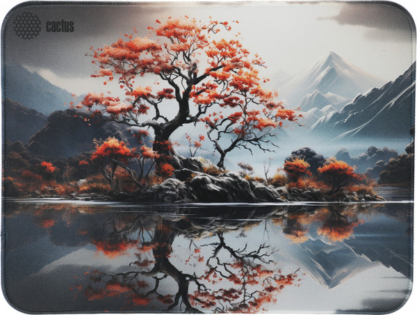 Коврик для мыши Cactus Lake CS-MP-PRO18XL - фото