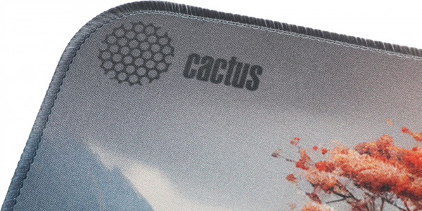Коврик для мыши Cactus Lake CS-MP-PRO18XL