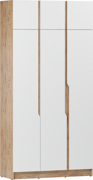 Шкаф Eligard Aura 3Dа - фото