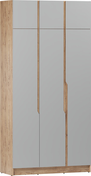 Шкаф Eligard Aura 3Dа - фото