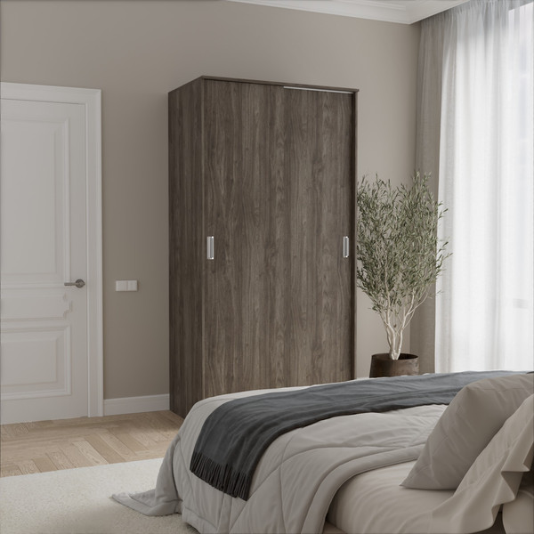 Шкаф-купе Кортекс-мебель Лагуна ШК01-00