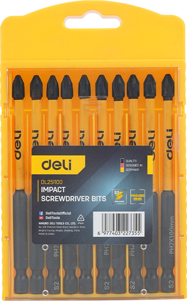 Набор бит Deli PH2x100мм / EDL251100 - фото