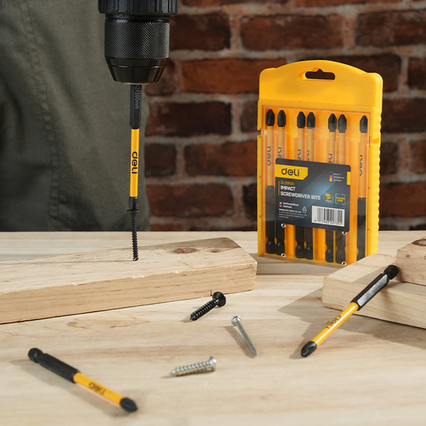 Набор бит Deli PH2x100мм / EDL251100