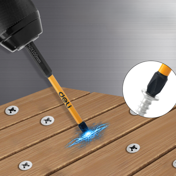 Набор бит Deli PH2x100мм / EDL251100