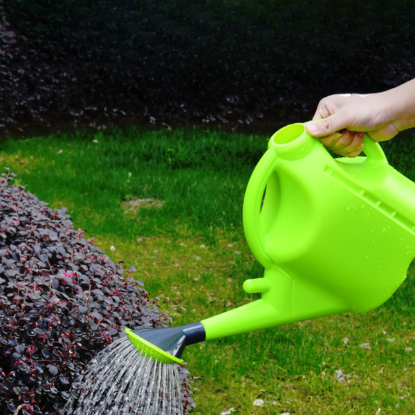 Лейка садовая Deli EDL581010