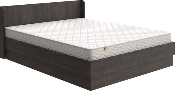 Полуторная кровать Proson Practica с ПМ 140x190 - фото