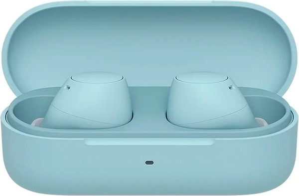 Беспроводные наушники Sony WF-C510 - фото