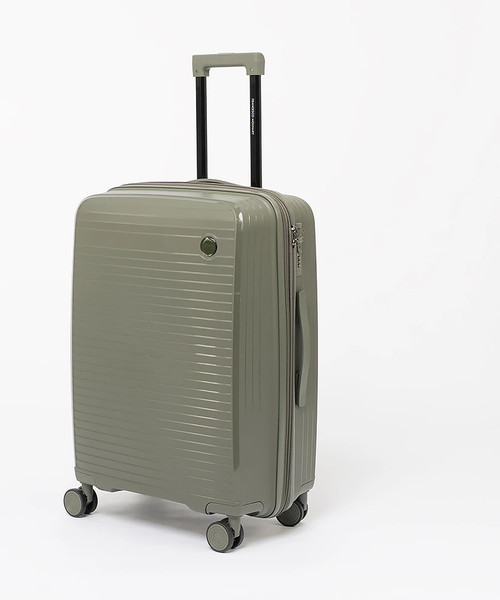 Чемодан на колесах Francesco Molinary 344-PP31/4-24DGN - фото