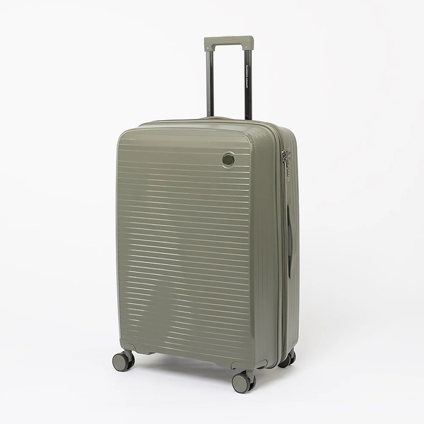 Чемодан на колесах Francesco Molinary 344-PP31/4-28DGN - фото