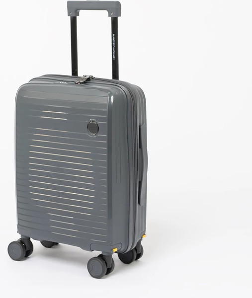 Чемодан на колесах Francesco Molinary 344-PP31/4-18DGR - фото