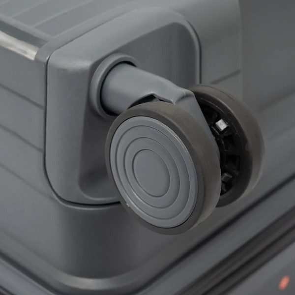 Чемодан на колесах Francesco Molinary 344-PP31/4-24DGR