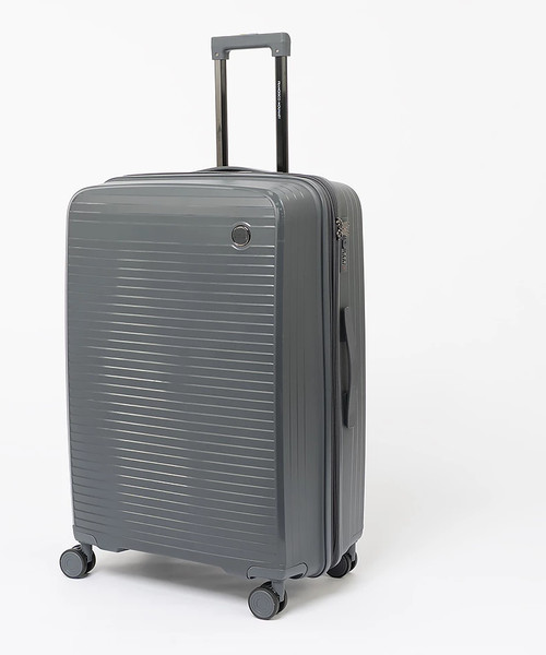 Чемодан на колесах Francesco Molinary 344-PP31/4-28DGR - фото