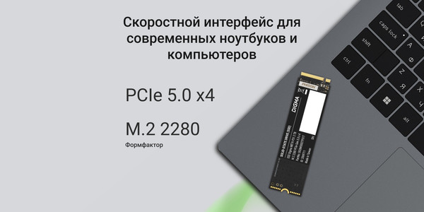 SSD диск Digma Meta P31 M.2 2280 2000GB DGSM5002TP31T
