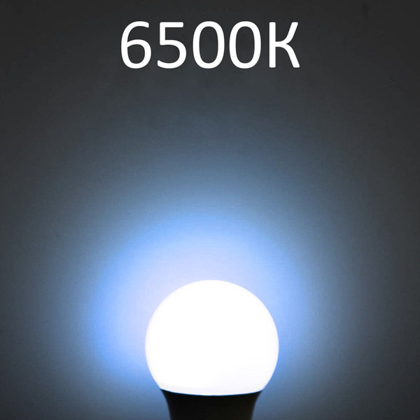 Лампа Sonnen 30(250)Вт Е27 Т100-30W-6500-E27 / 454924