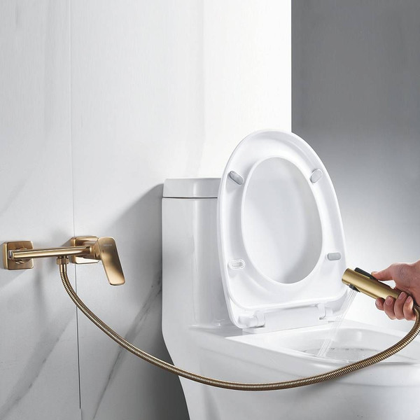 Гигиенический душ Shevanik S9905G-1