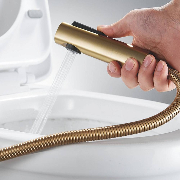 Гигиенический душ Shevanik S9905G-1