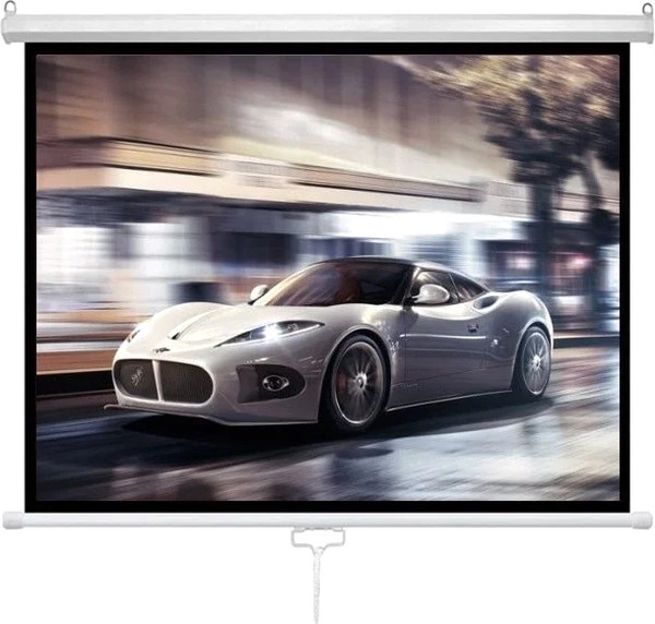 Проекционный экран Future Vision Business 300 / W300WMW - фото