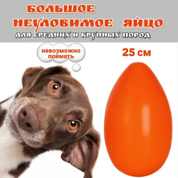 Игрушка для собак Пижон Неуловимое яйцо 25см