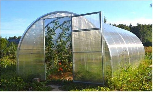 Теплица Садовод Элит ОТ 0.55 кг/м2