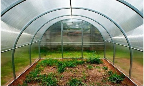 Теплица Садовод Элит ОТ 0.55 кг/м2