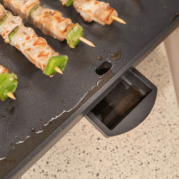 Электрогриль Cecotec Magnet 1800 / 1750