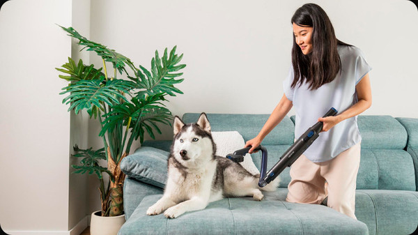 Портативный пылесос Cecotec Conga Rockstar Micro+ Animal / 8378