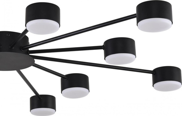 Люстра Lumion Torina 8344/12C