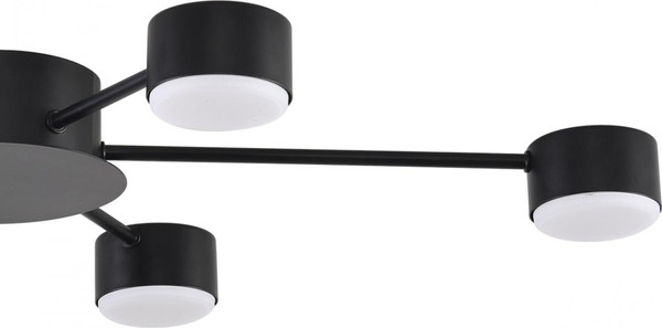 Люстра Lumion Torina 8344/6C