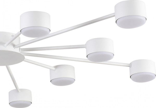 Люстра Lumion Torina 8343/12C