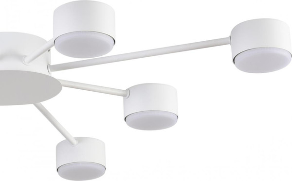 Люстра Lumion Torina 8343/8C