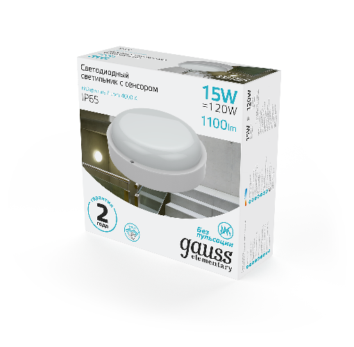 Светильник ЖКХ Gauss 126411215-S