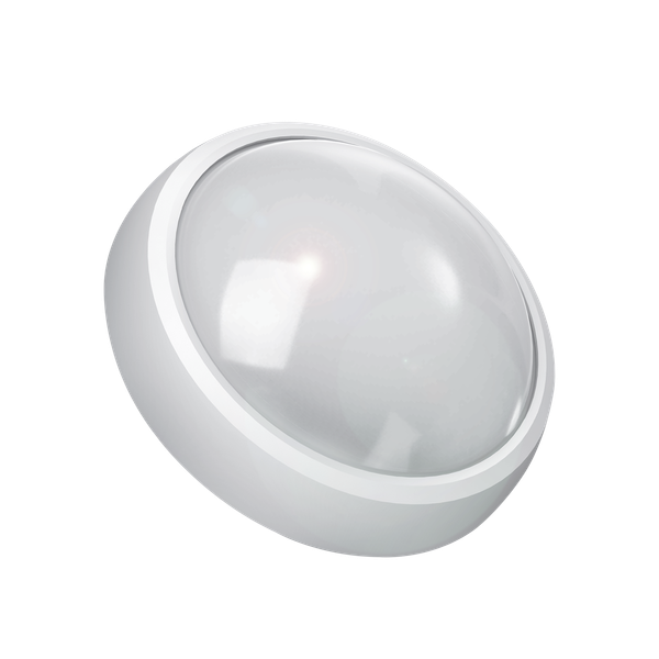 Светильник ЖКХ Gauss 142411208-S - фото