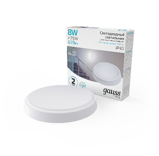 Светильник ЖКХ Gauss 193411208-S - фото
