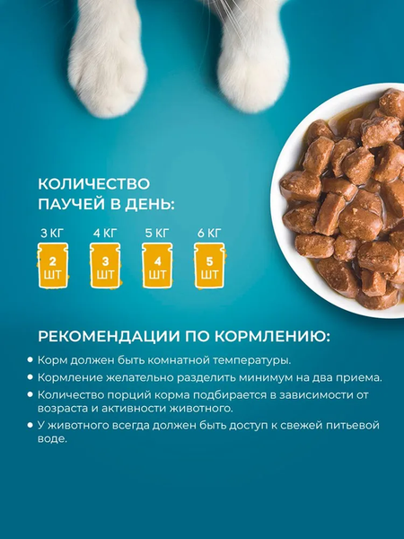 Влажный корм для кошек Hitstick с говядиной в соусе