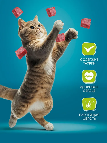 Влажный корм для кошек Hitstick с курицей в соусе