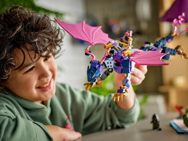 Конструктор Lego Ninjago Мастер Драконов 71842